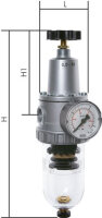 STANDARD-Filterregler G 1/4",0,5 - 10 bar, Standard...