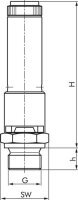 TÜV-Sicherheitsventil G 1/4" (DN8), 6,00 bar,...